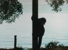 Lemur on tent pole