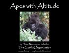 Apes with Altitude